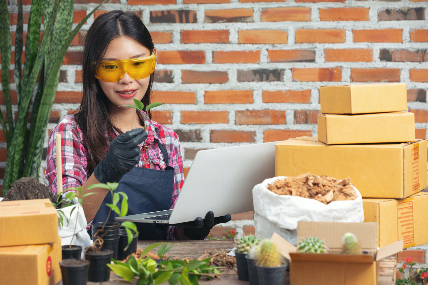 Local Businesses Are Not Restricted To Localities Anymore? 6 Ways To Grow Your Small Business Online Without Breaking Your Bank
