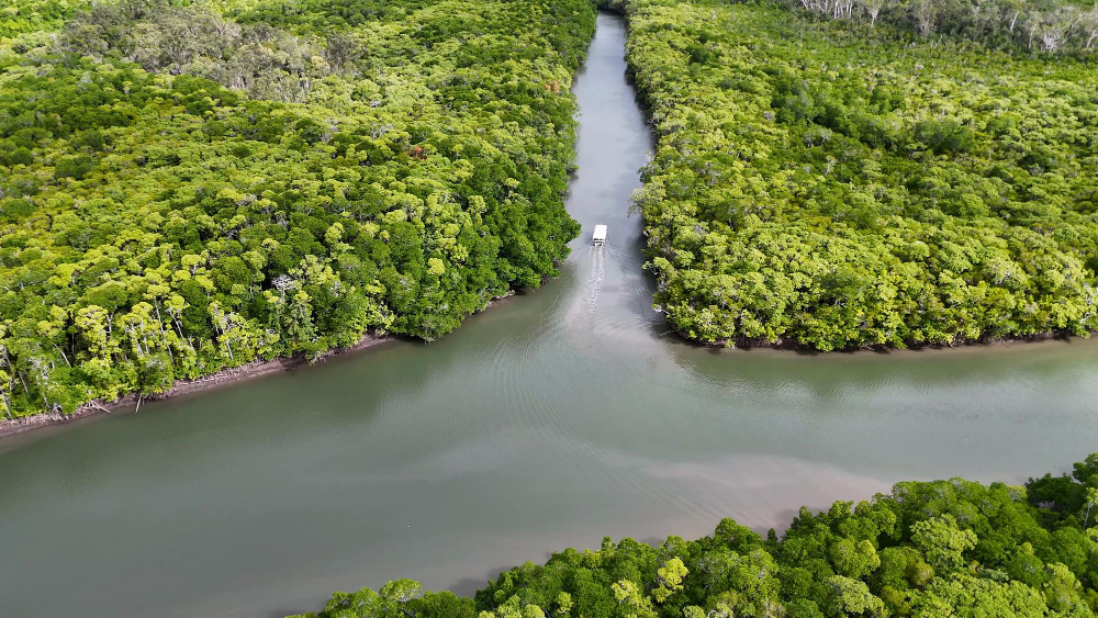 Kinabatangan